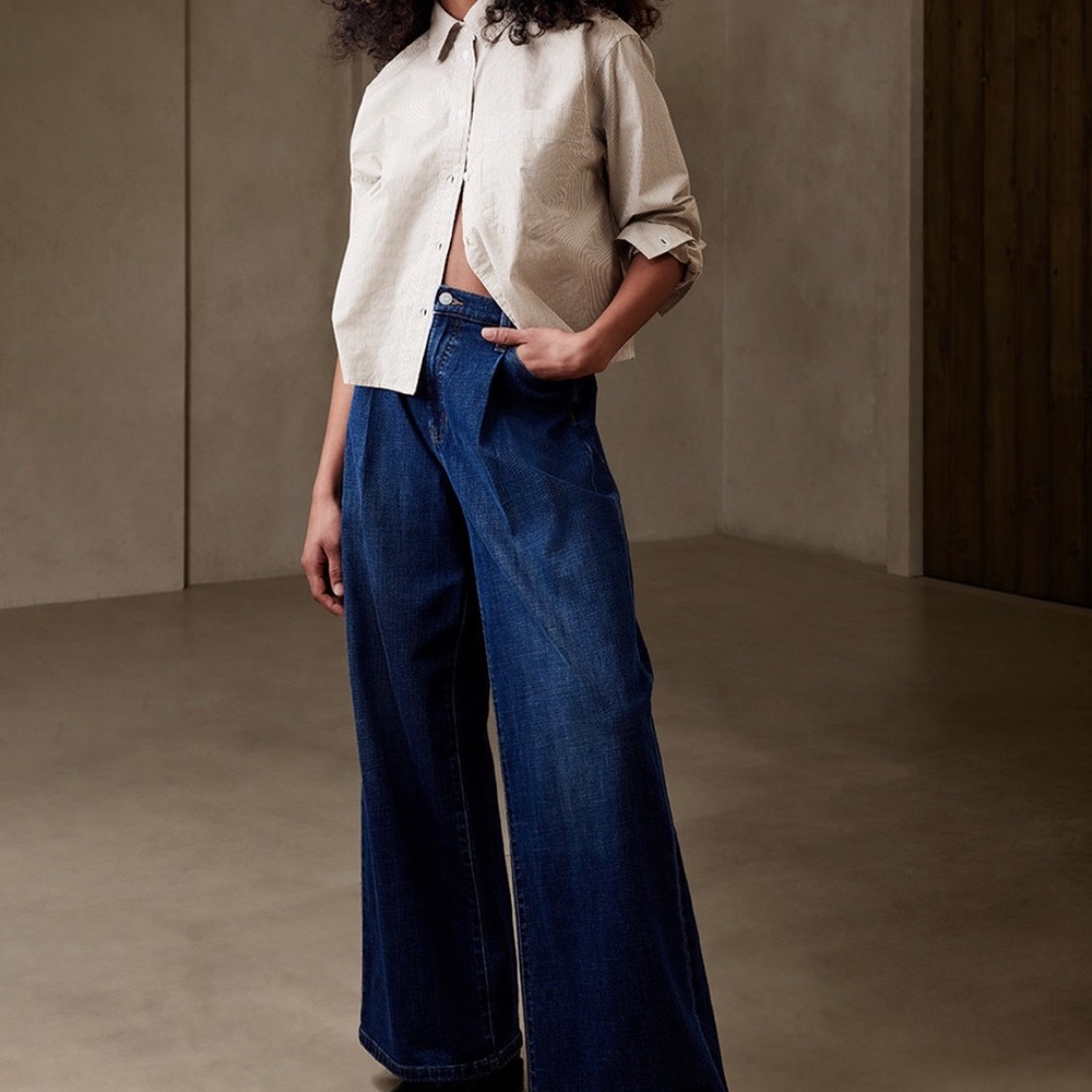 Banana Republic Pleated Wide-Leg Jean